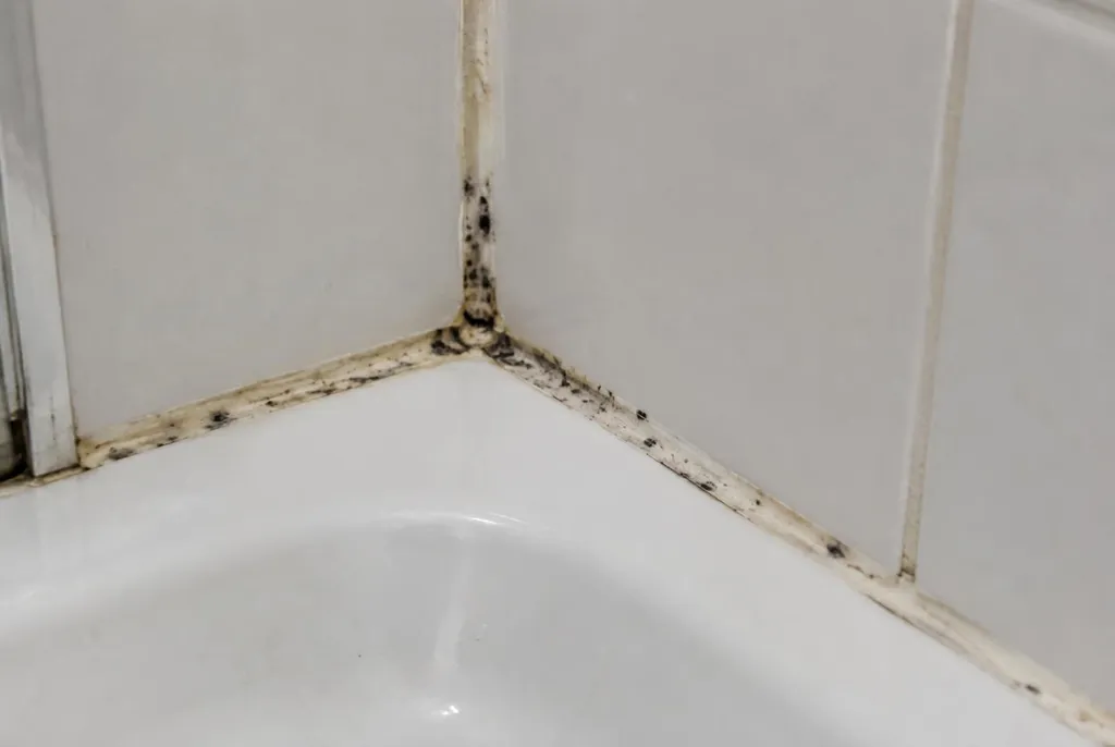 Kitbedrijf Kockengen – beschimmelde kitranden